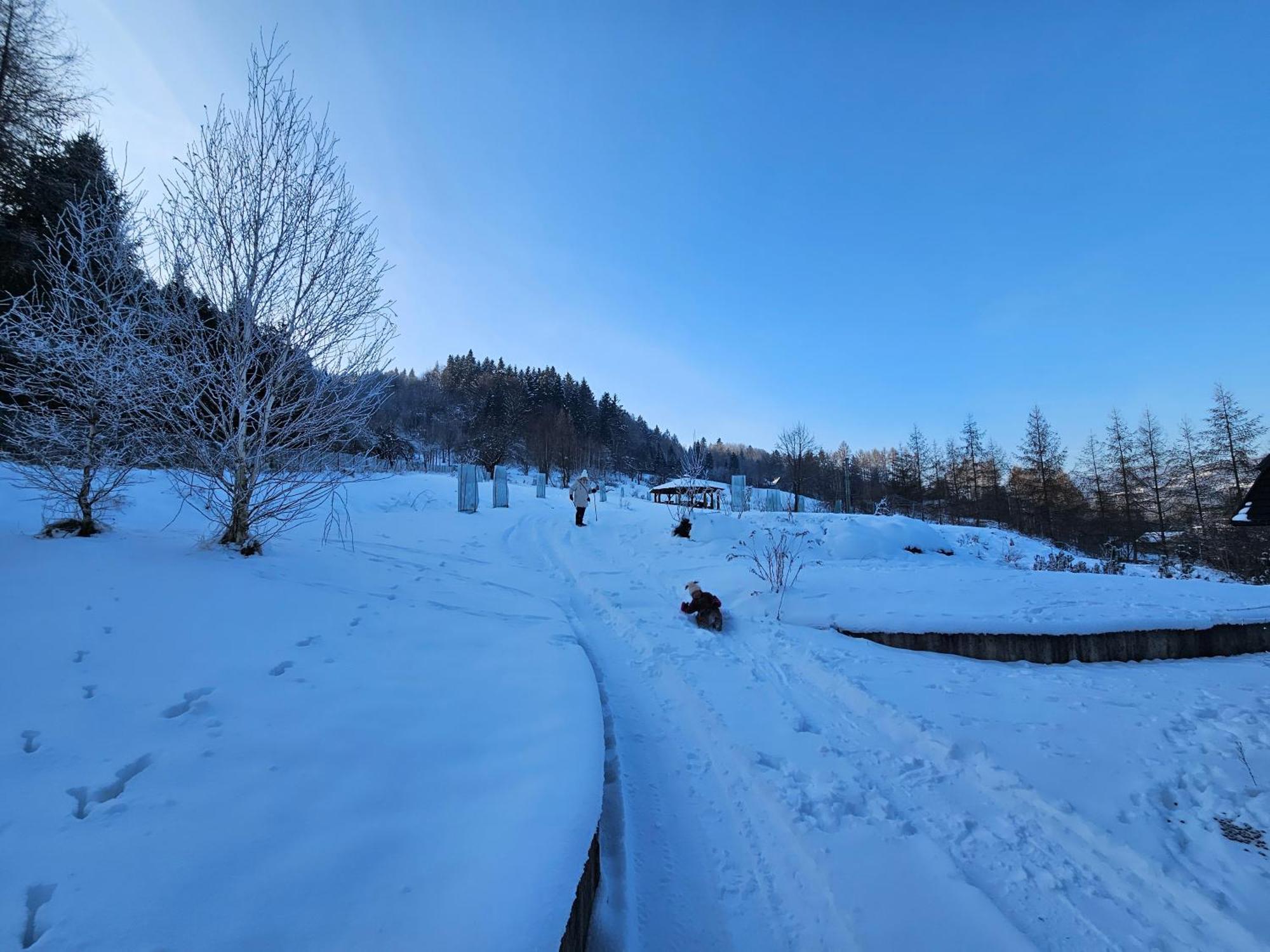 Bed and Breakfast Otulina Park Szczawnica Exterior foto