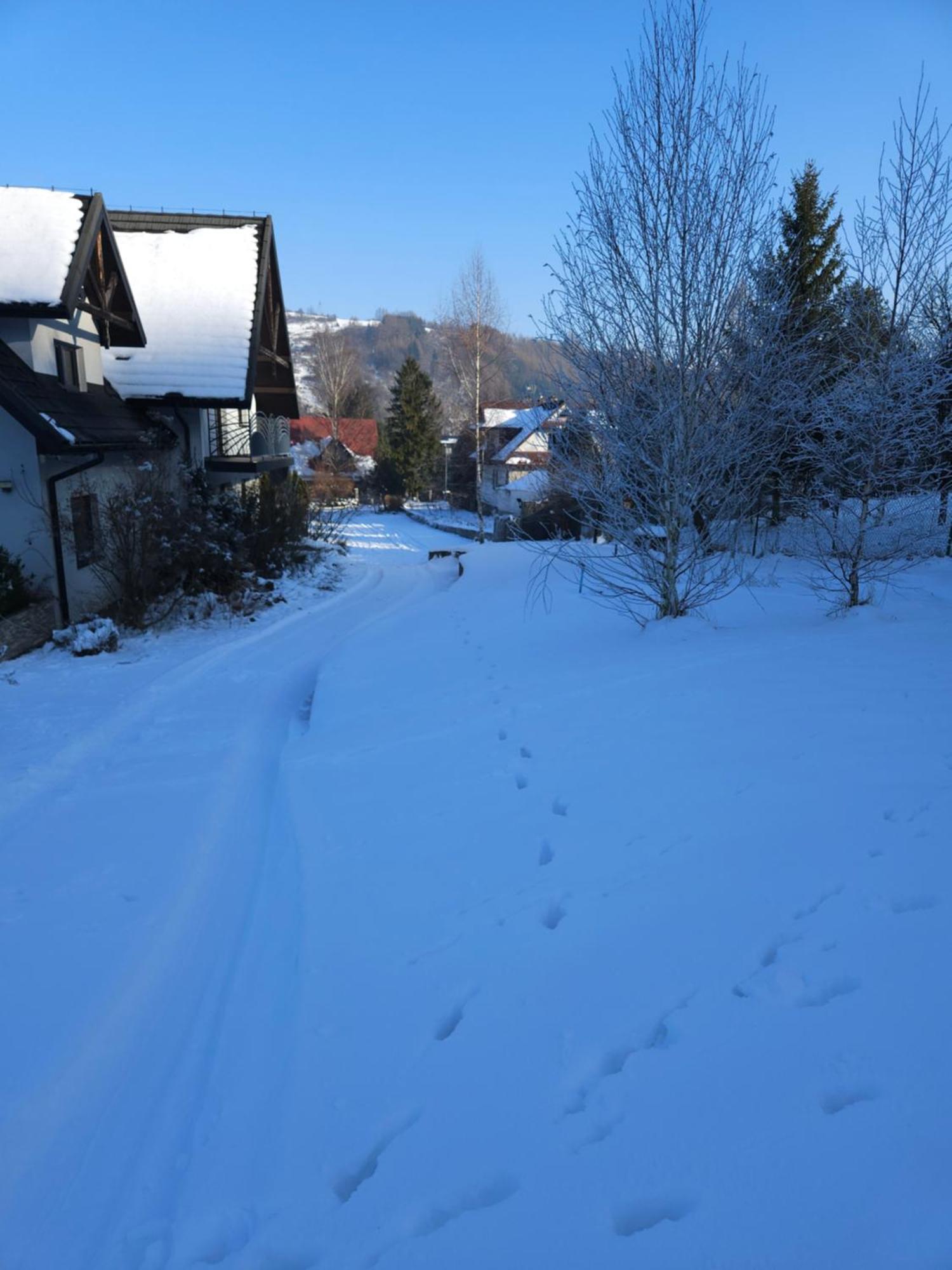 Bed and Breakfast Otulina Park Szczawnica Exterior foto
