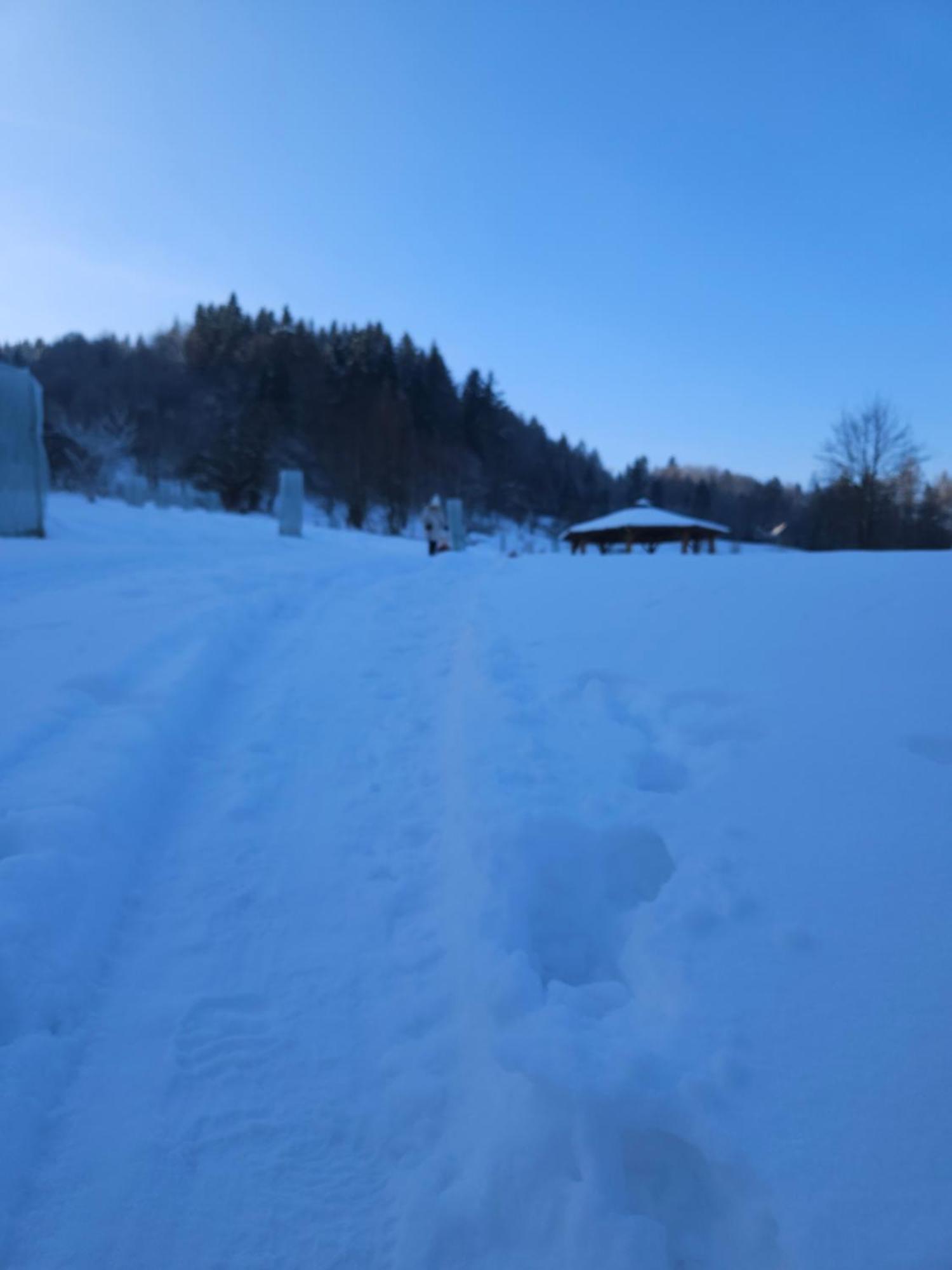 Bed and Breakfast Otulina Park Szczawnica Exterior foto